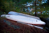 Not In Service